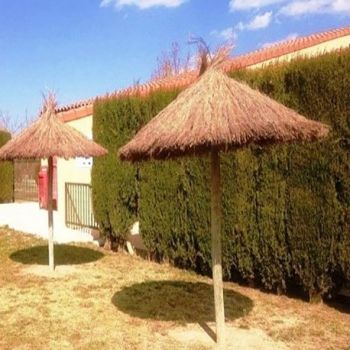 Parasol de brezo